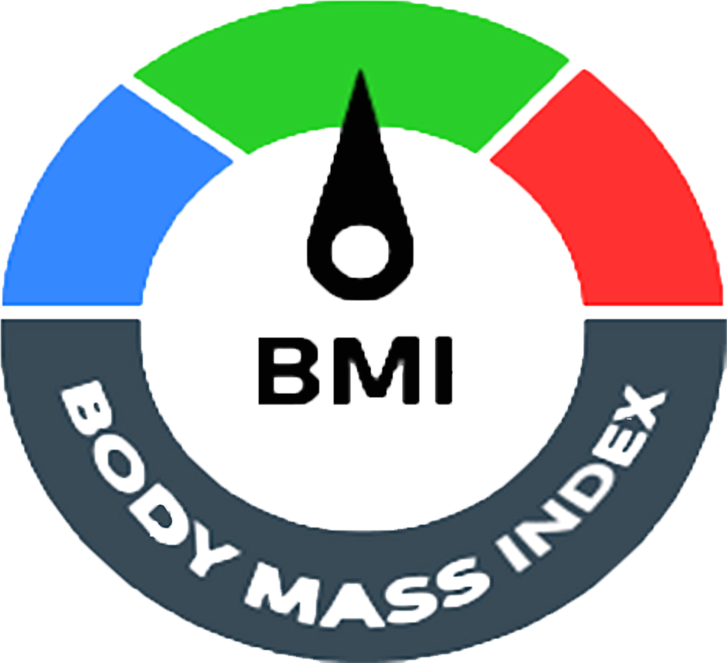 Project Calculator BMI